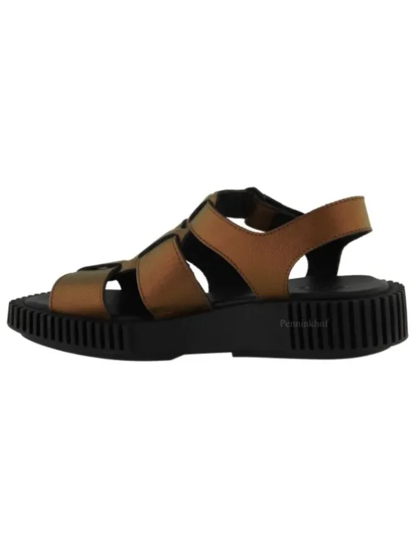 Arche sandals IXORRY Bronze