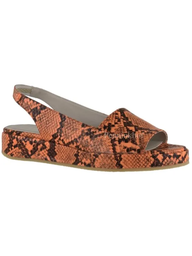 panara_sandals_p_orange_0.webp Panara sandals P21090 Orange