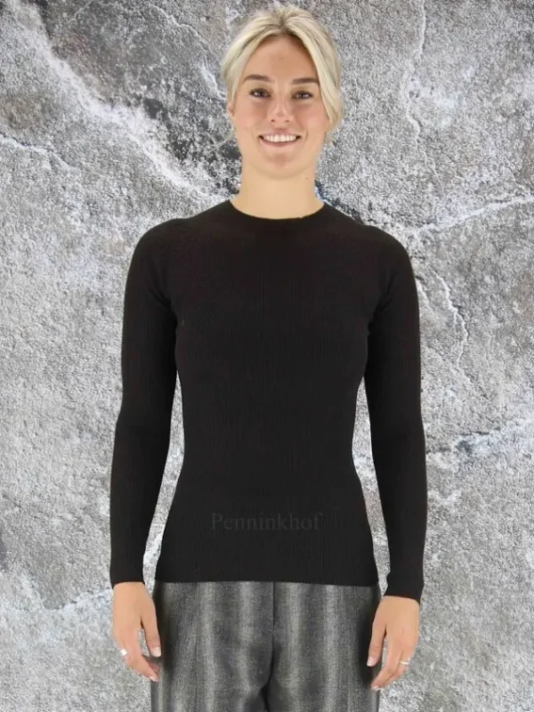 Peserico pullovers S99715F18 Brown
