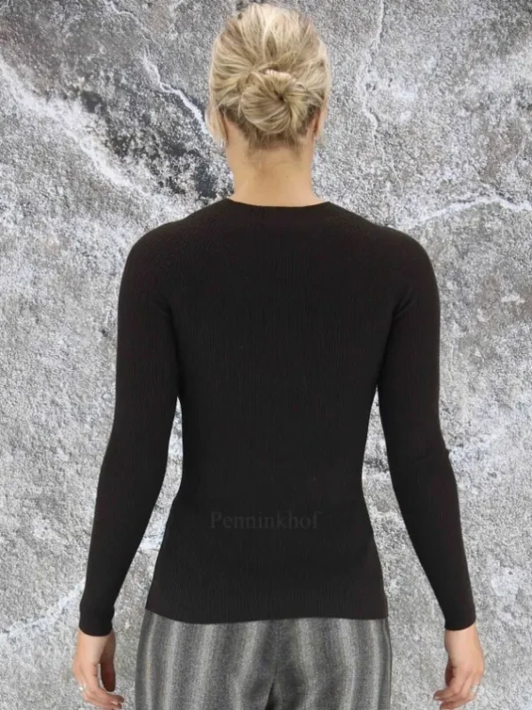 Peserico pullovers S99715F18 Brown