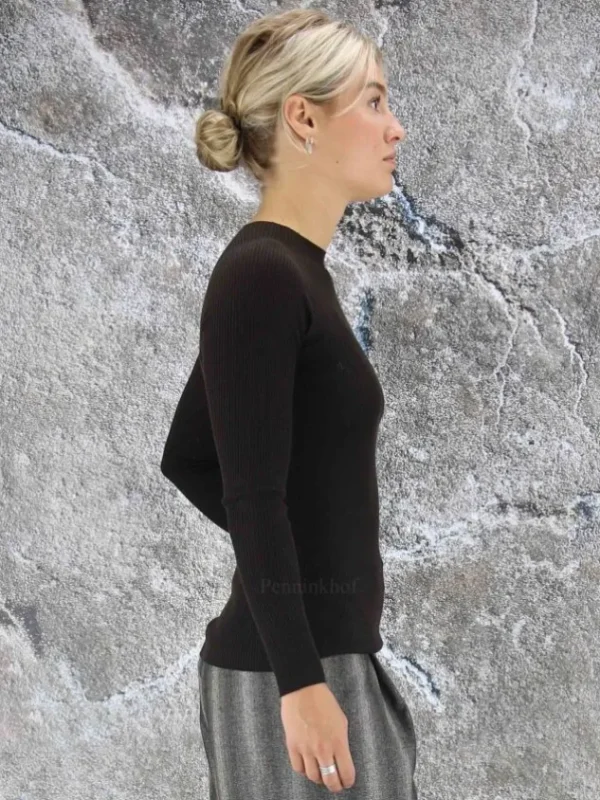 Peserico pullovers S99715F18 Brown